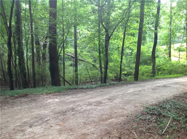 a view of a yard with trees
