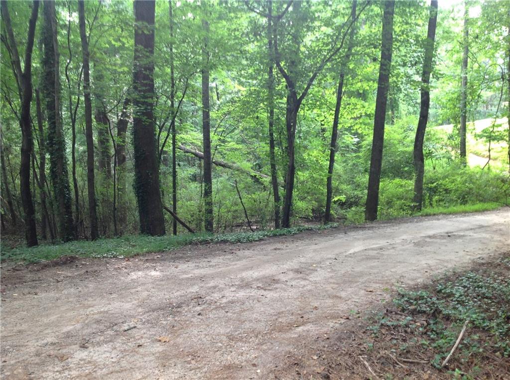 0 Osborne Road Flowery Branch, GA 30542 - Photo 4 of 19 a view of a forest with trees in the background
