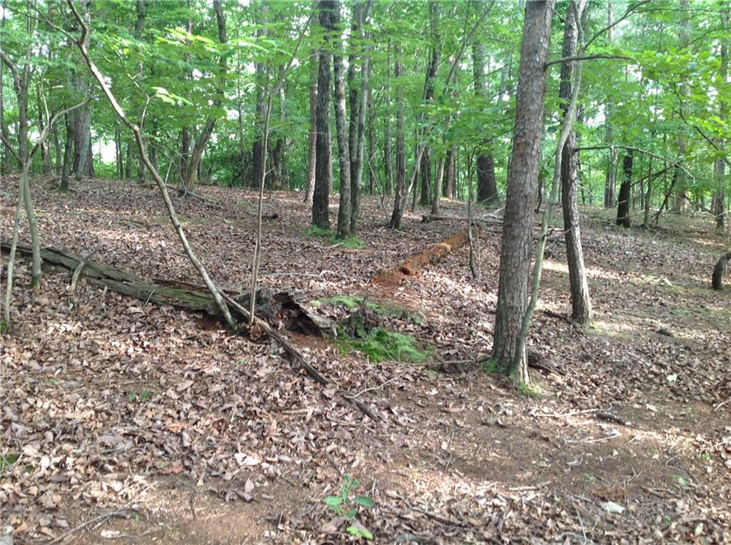 0 Osborne Road Flowery Branch, GA 30542 - Photo 6 of 19 a backyard of a house with lots of green space