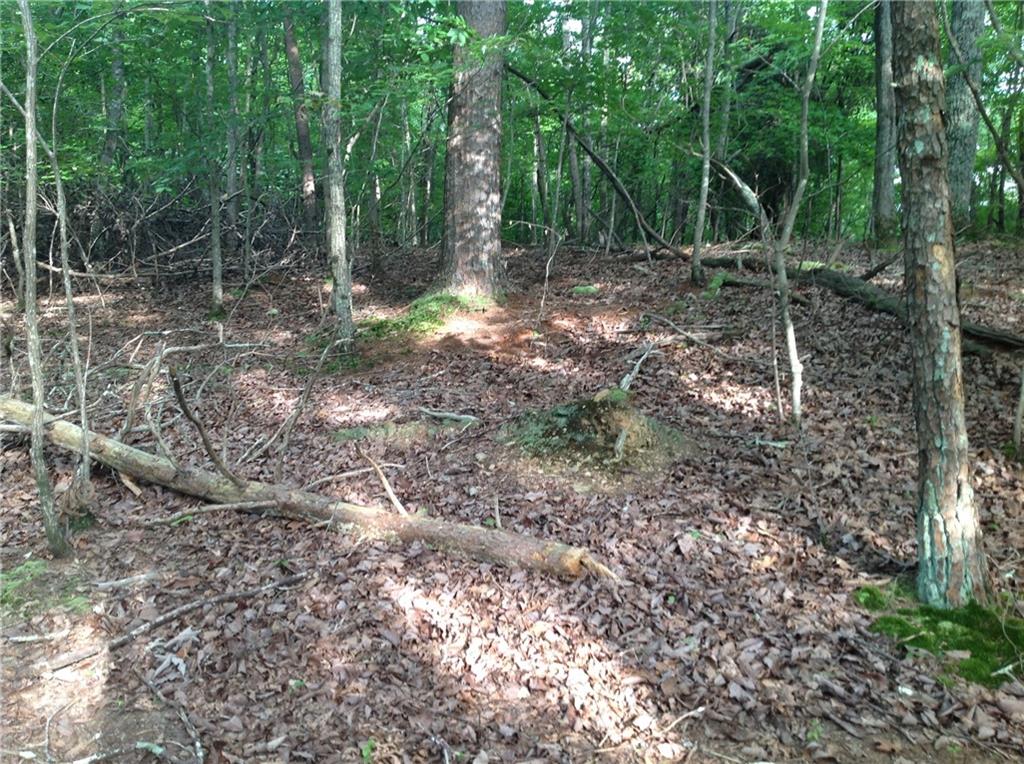 0 Osborne Road Flowery Branch, GA 30542 - Photo 7 of 19 a backyard of a house with lots of green space