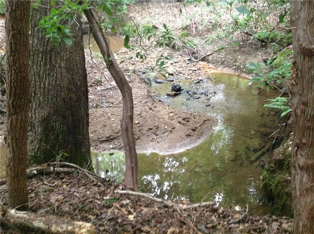 0 Osborne Road Flowery Branch, GA 30542 - Photo 9 of 19 a view of a tree in a yard