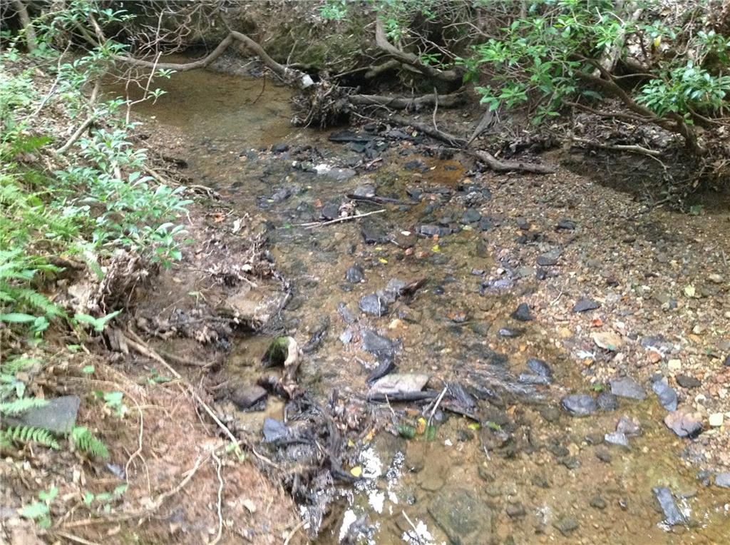 0 Osborne Road Flowery Branch, GA 30542 - Photo 10 of 19 a view of a forest with a tree