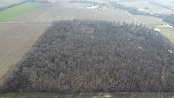 a view of a dry yard