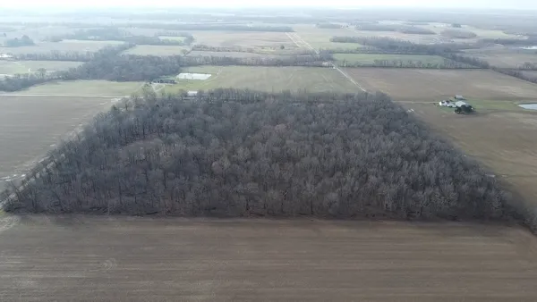 a view of a yard with trees