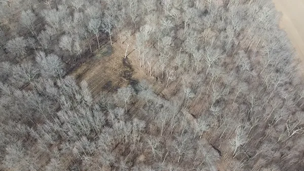 a view of outdoor space with trees