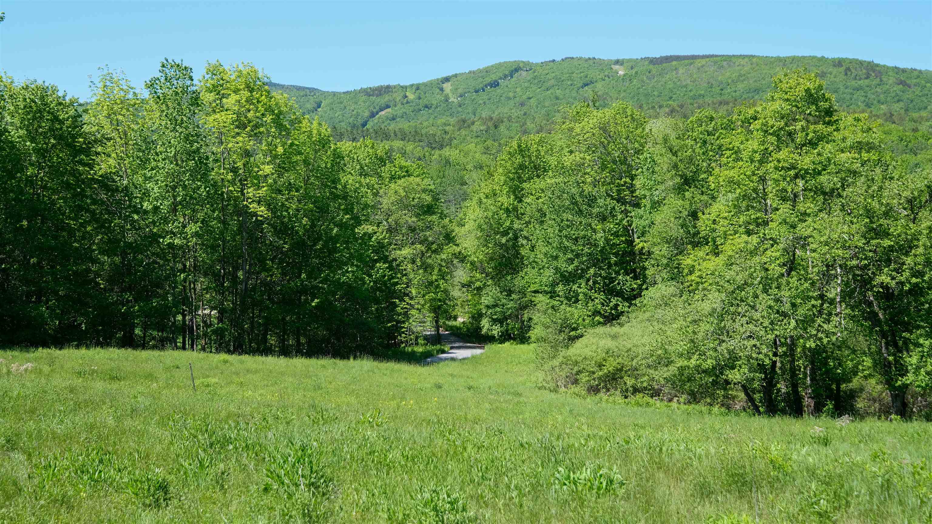 0 Rod And Gun Club Road, Unit 8 Ludlow, VT 05149 - Photo 6 of 27