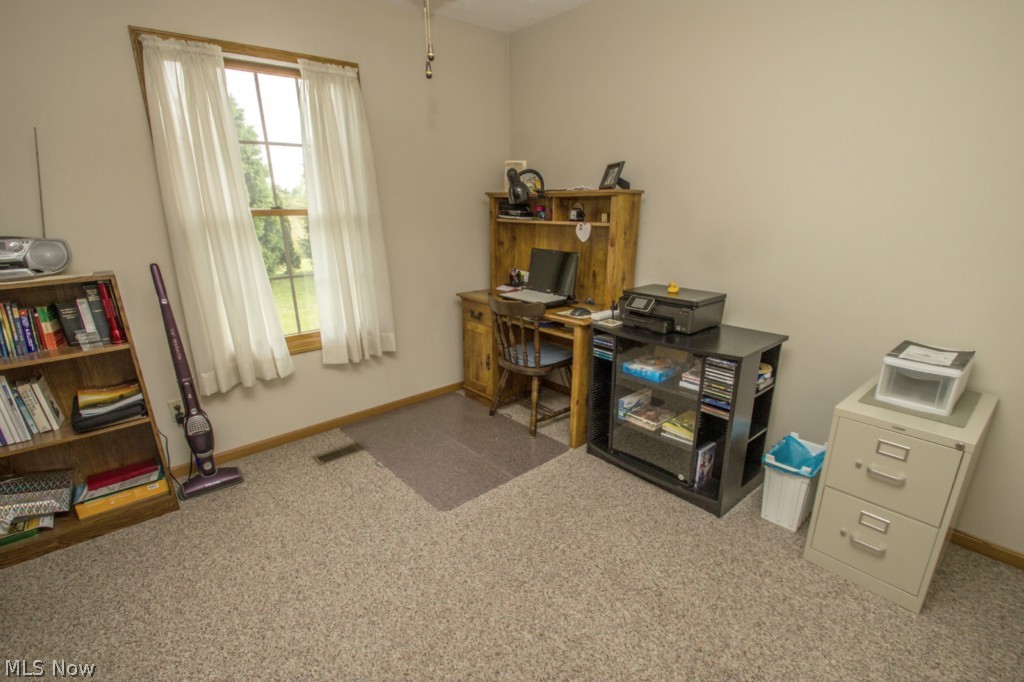 4859 Richman Road Litchfield, OH 44253 - Photo 22 of 25 Gallery Image 22