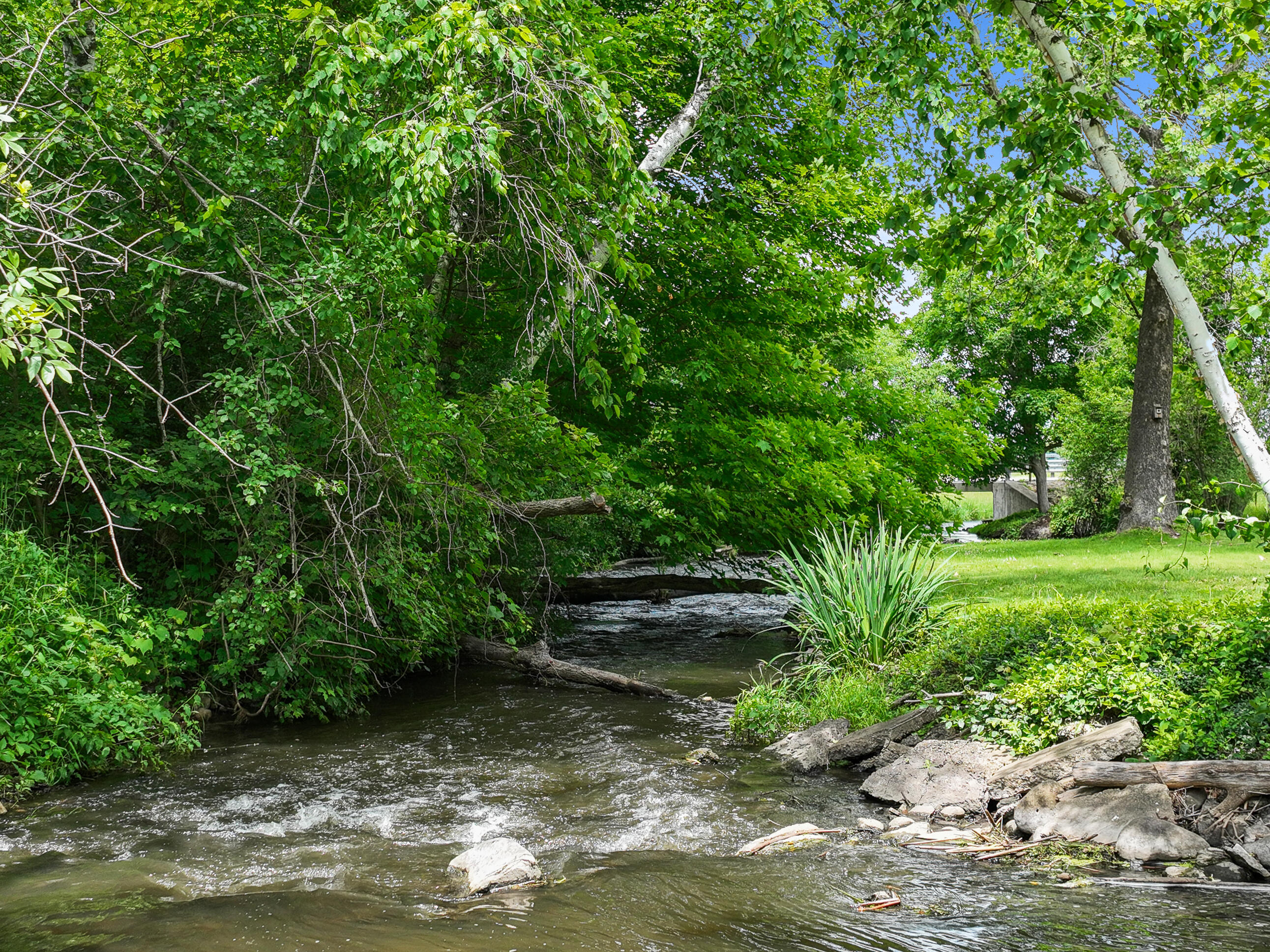 5281 Spring Valley Road Lyons, WI 53105 - Photo 19 of 82 5281 Spring Valley Rd-28