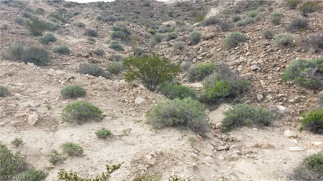 $39,900 | 0 Th, Moapa, NV 89025