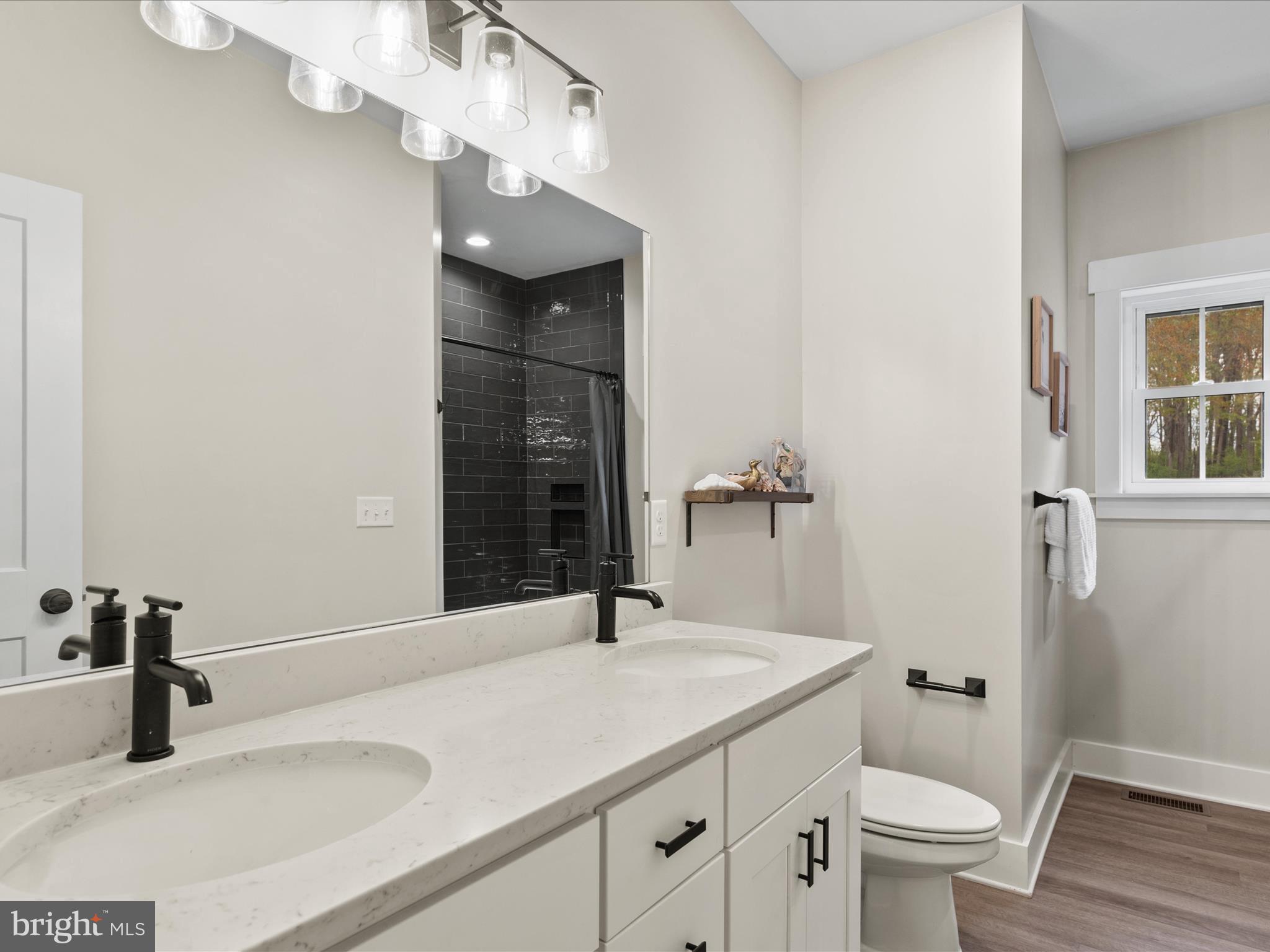 9741 Mason Road Berlin, MD 21811 - Photo 46 of 71 a bathroom with a sink a toilet and a mirror