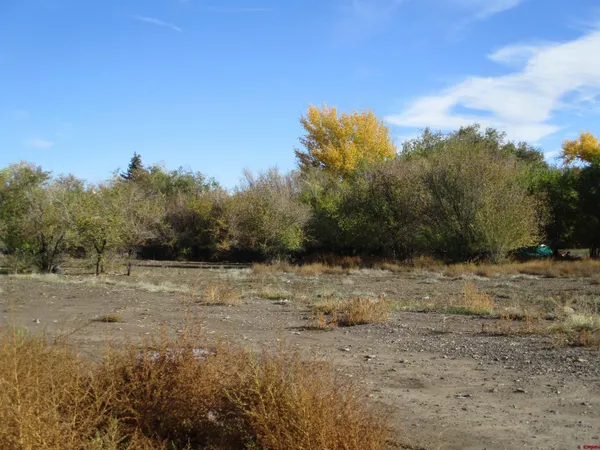 a view of dirt field with trees in background