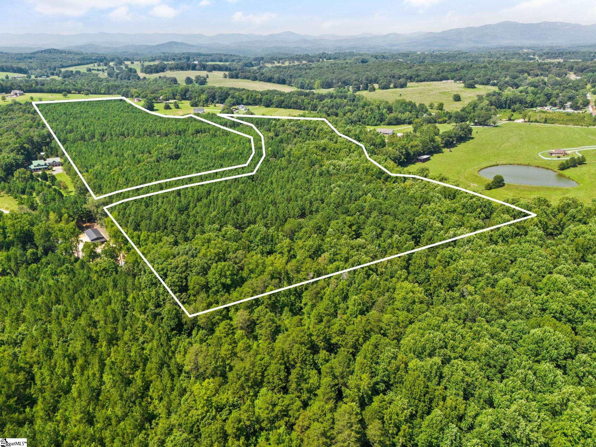 Thompson Road Taylors, SC 29687 - Photo 1 of 12 Gallery Image 1
