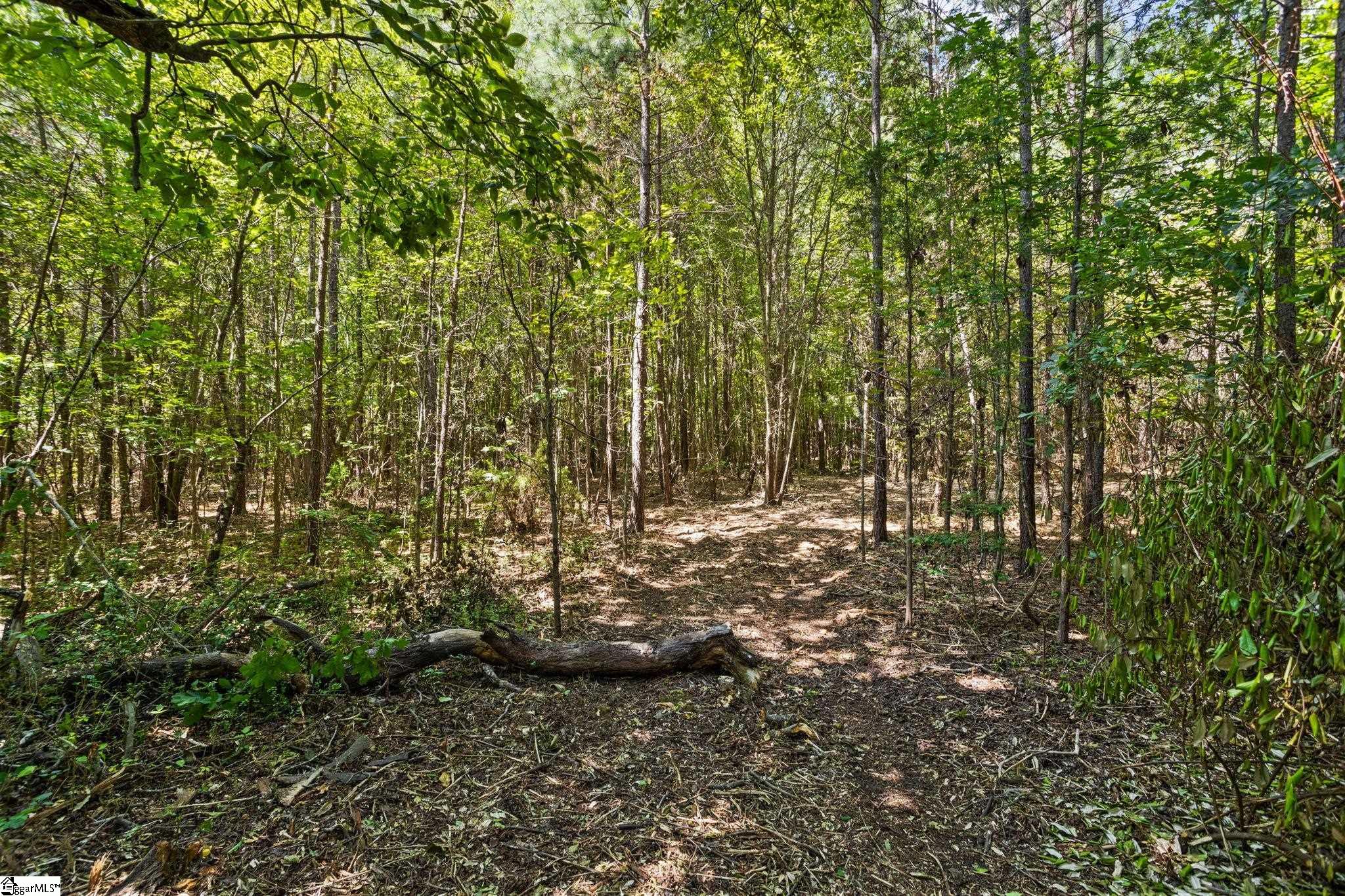 Thompson Road Taylors, SC 29687 - Photo 3 of 12 Gallery Image 3