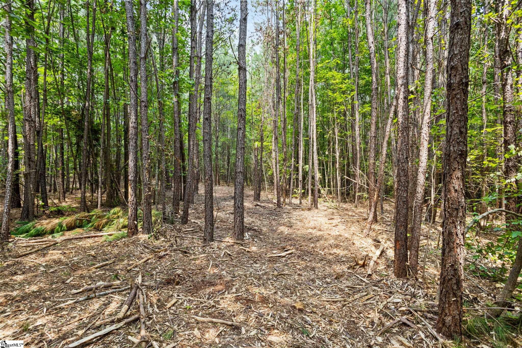 Thompson Road Taylors, SC 29687 - Photo 4 of 12 Gallery Image 4