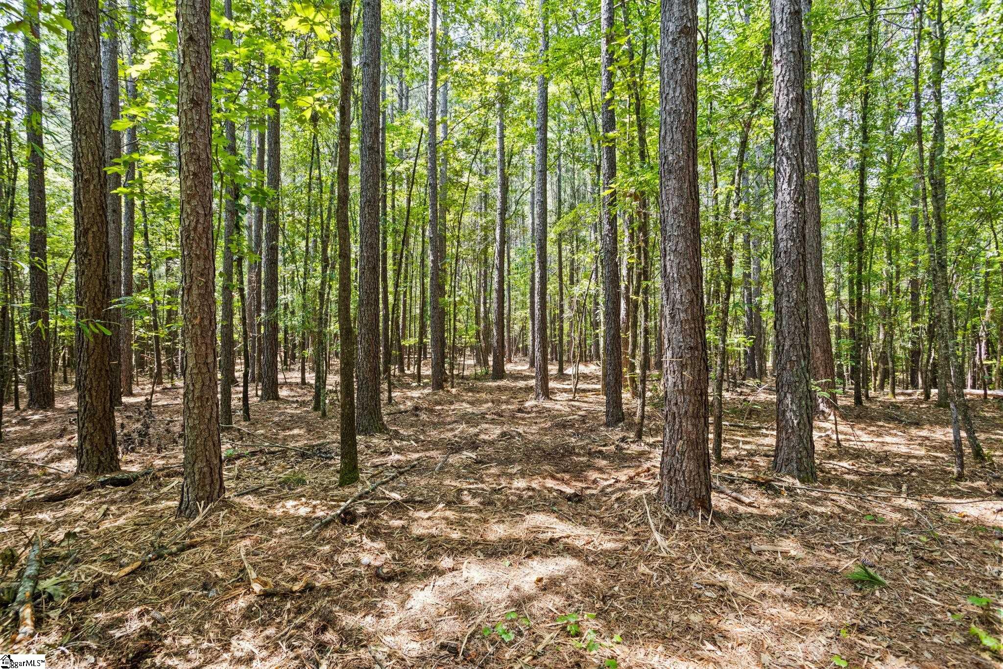 Thompson Road Taylors, SC 29687 - Photo 5 of 12 Gallery Image 5