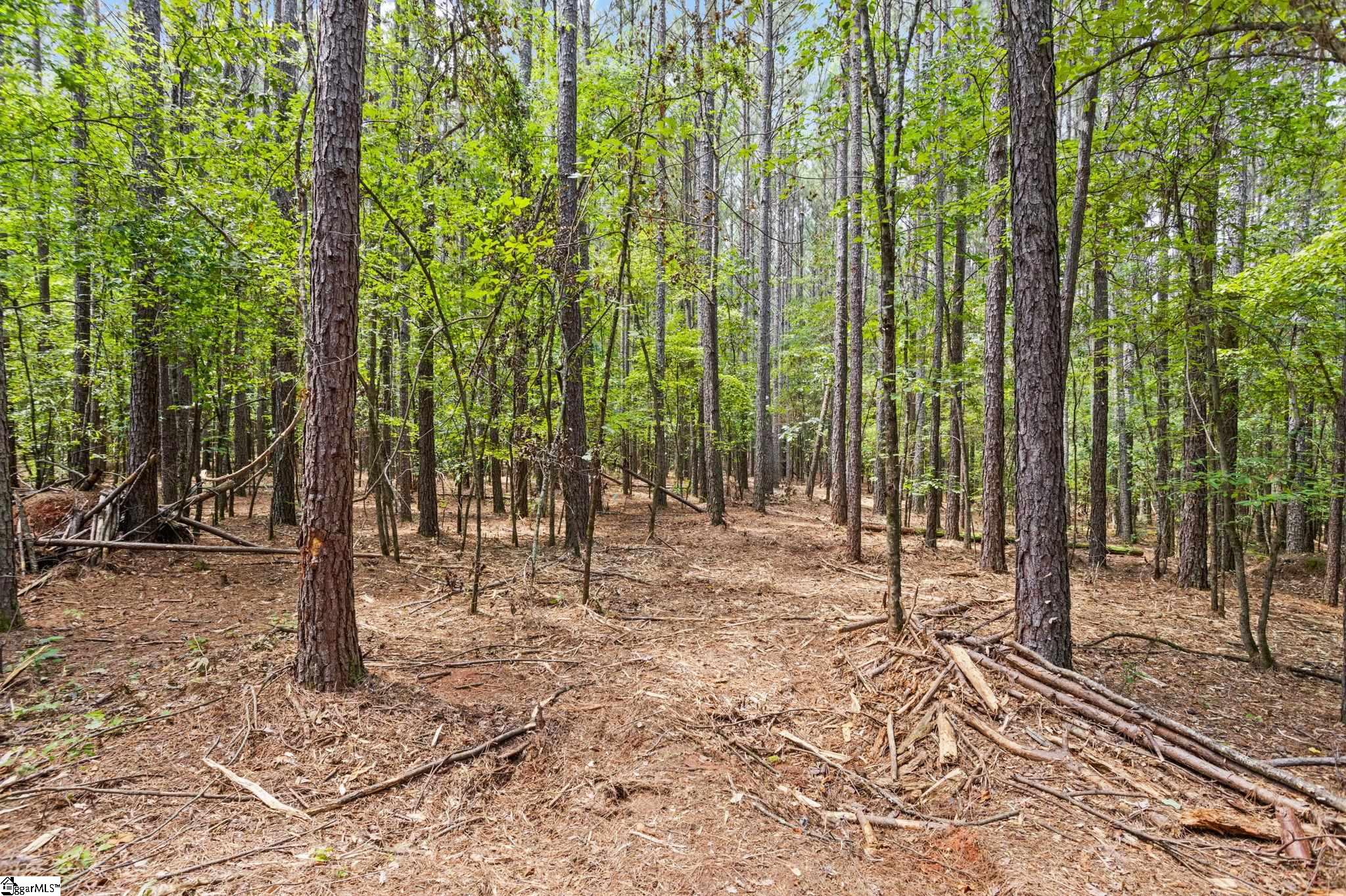 Thompson Road Taylors, SC 29687 - Photo 7 of 12 Gallery Image 7