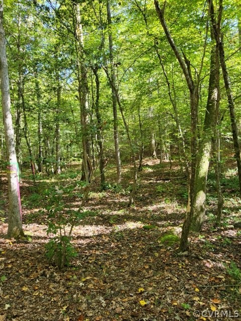 Lot C Homestead Road Lanexa, VA 23089 - Photo 1 of 19 Gallery Image 1
