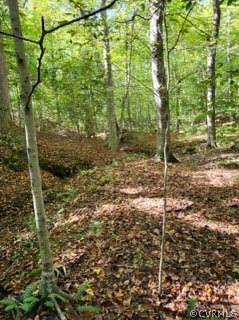 Lot C Homestead Road Lanexa, VA 23089 - Photo 11 of 19 Gallery Image 11