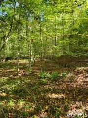 Lot C Homestead Road Lanexa, VA 23089 - Photo 12 of 19 Gallery Image 12