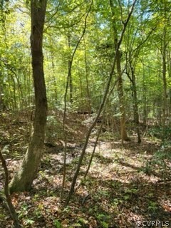Lot C Homestead Road Lanexa, VA 23089 - Photo 13 of 19 Gallery Image 13