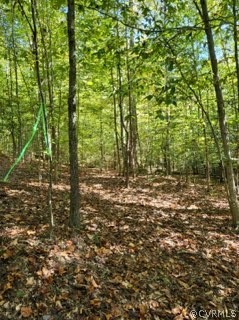 Lot C Homestead Road Lanexa, VA 23089 - Photo 14 of 19 Gallery Image 14