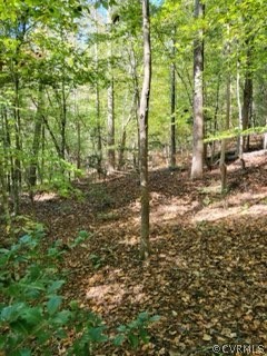 Lot C Homestead Road Lanexa, VA 23089 - Photo 15 of 19 Gallery Image 15