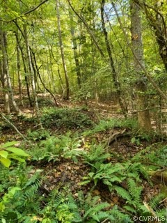 Lot C Homestead Road Lanexa, VA 23089 - Photo 16 of 19 Gallery Image 16