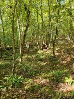Lot C Homestead Road Lanexa, VA 23089 - Photo 17 of 19 Gallery Image 17