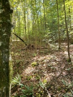 Lot C Homestead Road Lanexa, VA 23089 - Photo 18 of 19 Gallery Image 18