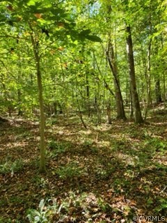 Lot C Homestead Road Lanexa, VA 23089 - Photo 19 of 19 Gallery Image 19