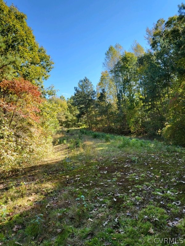 Lot C Homestead Road Lanexa, VA 23089 - Photo 5 of 19 Gallery Image 5
