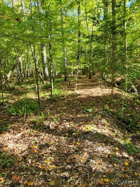 Lot C Homestead Road Lanexa, VA 23089 - Photo 6 of 19 Gallery Image 6