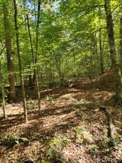 Lot C Homestead Road Lanexa, VA 23089 - Photo 8 of 19 Gallery Image 8