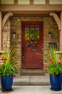 a view of a potted plant in front of a door