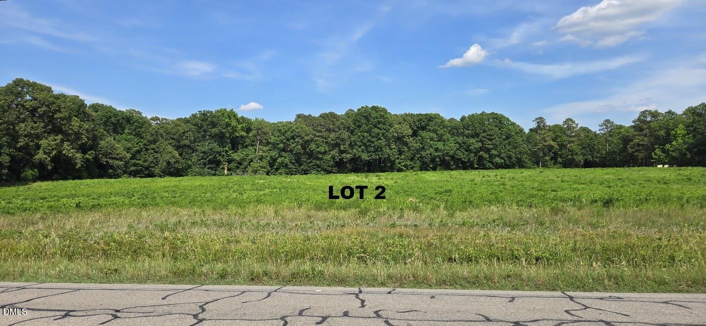0 Lemon Springs Road Sanford, NC 27332 - Photo 5 of 8