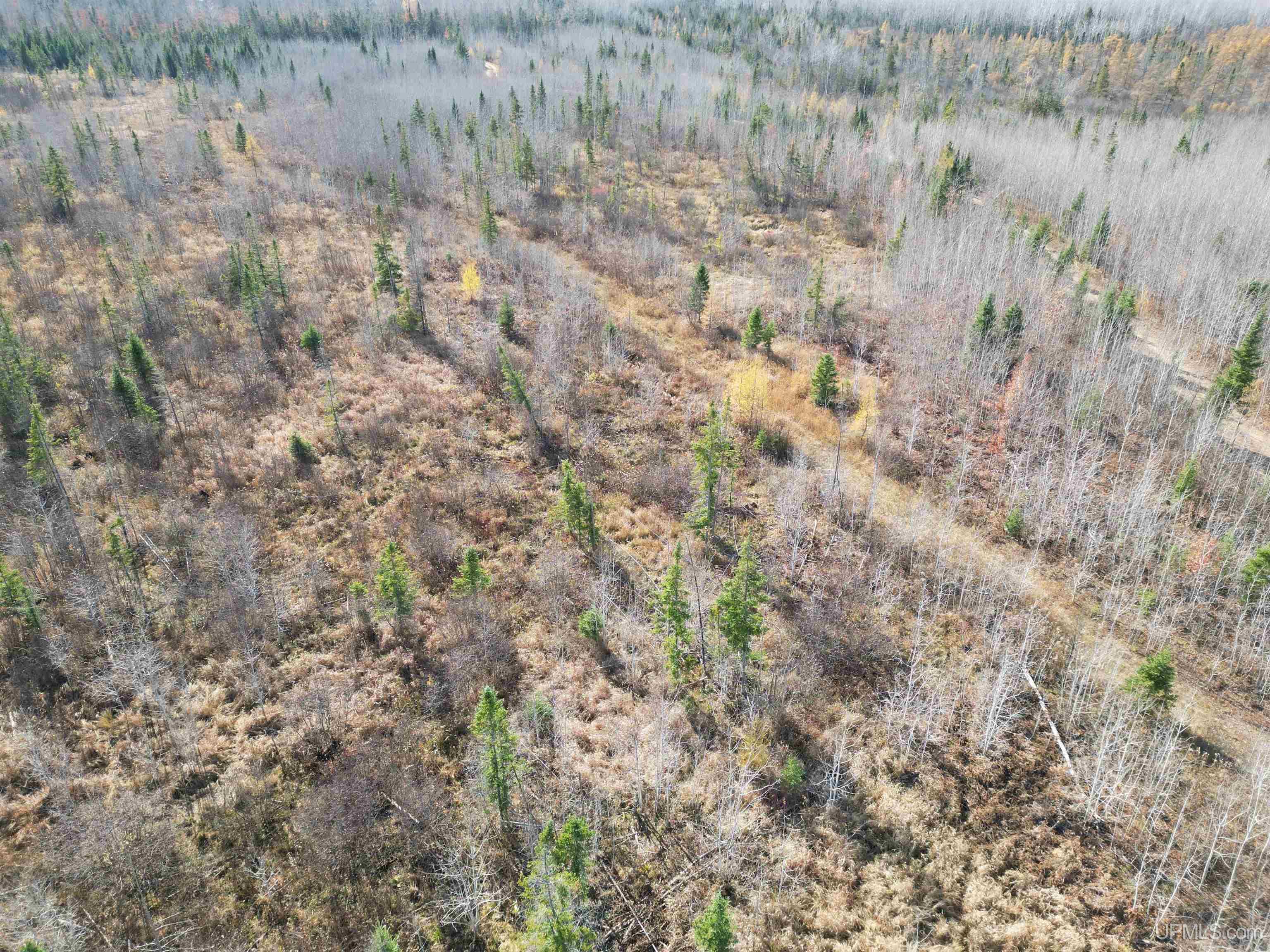 27.5 Rd 28 Acres Trail Gladstone, MI 49837 - Photo 10 of 24