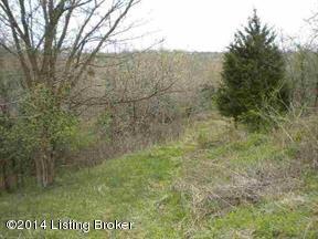 533 Holt Ridge Road Bloomfield, KY 40008 - Photo 4 of 4 53