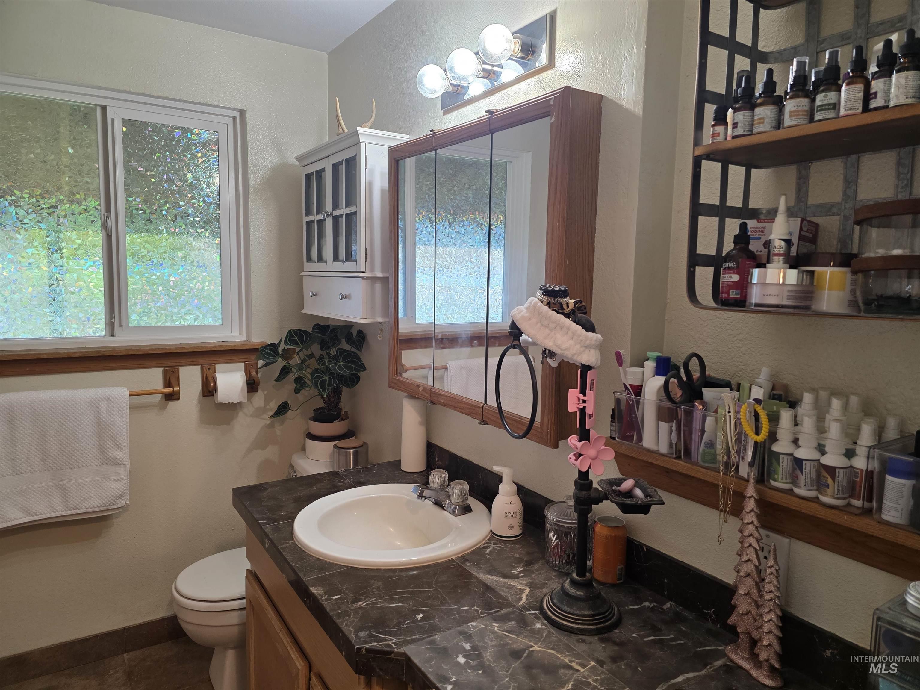 223 Larch Road Kamiah, ID 83536 - Photo 15 of 25 Bathroom featuring a single vanity with a dark countertop and white basin, a wall-mounted medicine cabinet with a wood frame, a window with textured film, a toilet, and a white wall-mounted cabinet