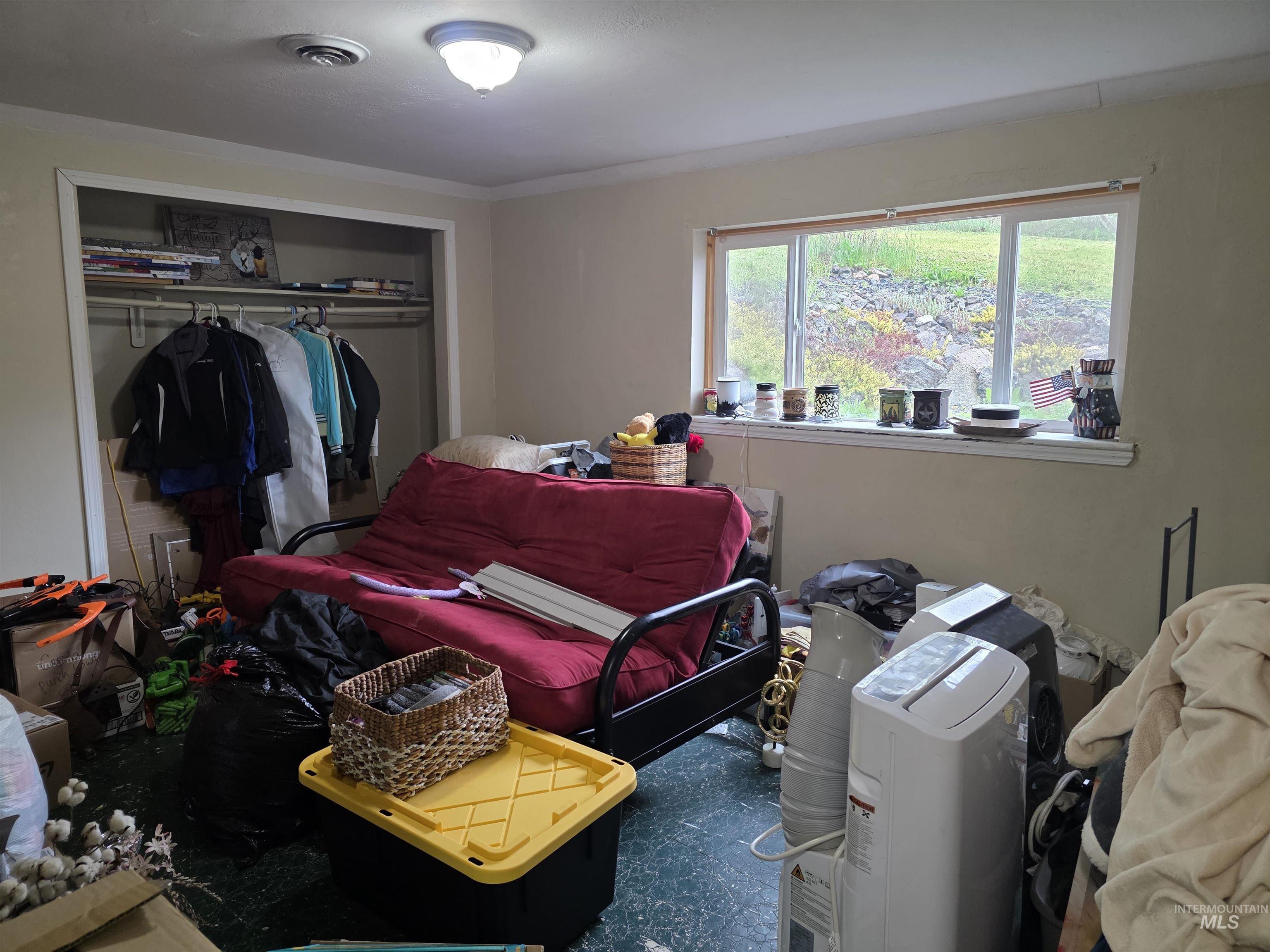 223 Larch Road Kamiah, ID 83536 - Photo 18 of 25 Room featuring a large window, a ceiling-mounted light fixture, crown molding, a built-in closet with shelving, and green-hued flooring