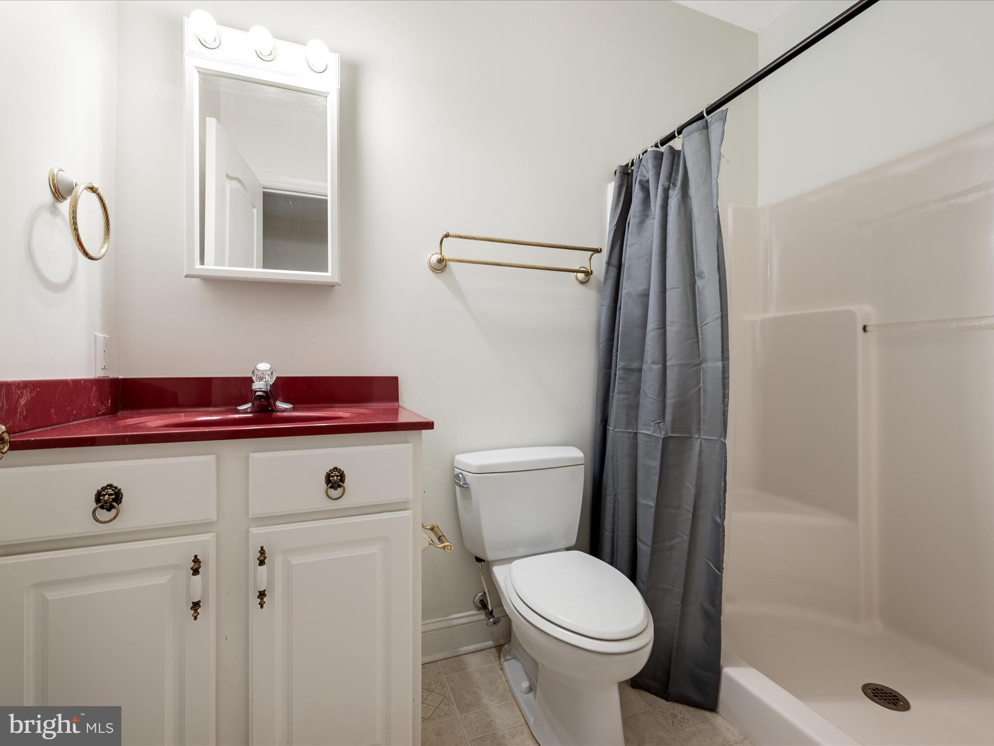 2358 Cave Ridge Road Mount Jackson, VA 22842 - Photo 36 of 59 a bathroom with a sink a toilet and shower