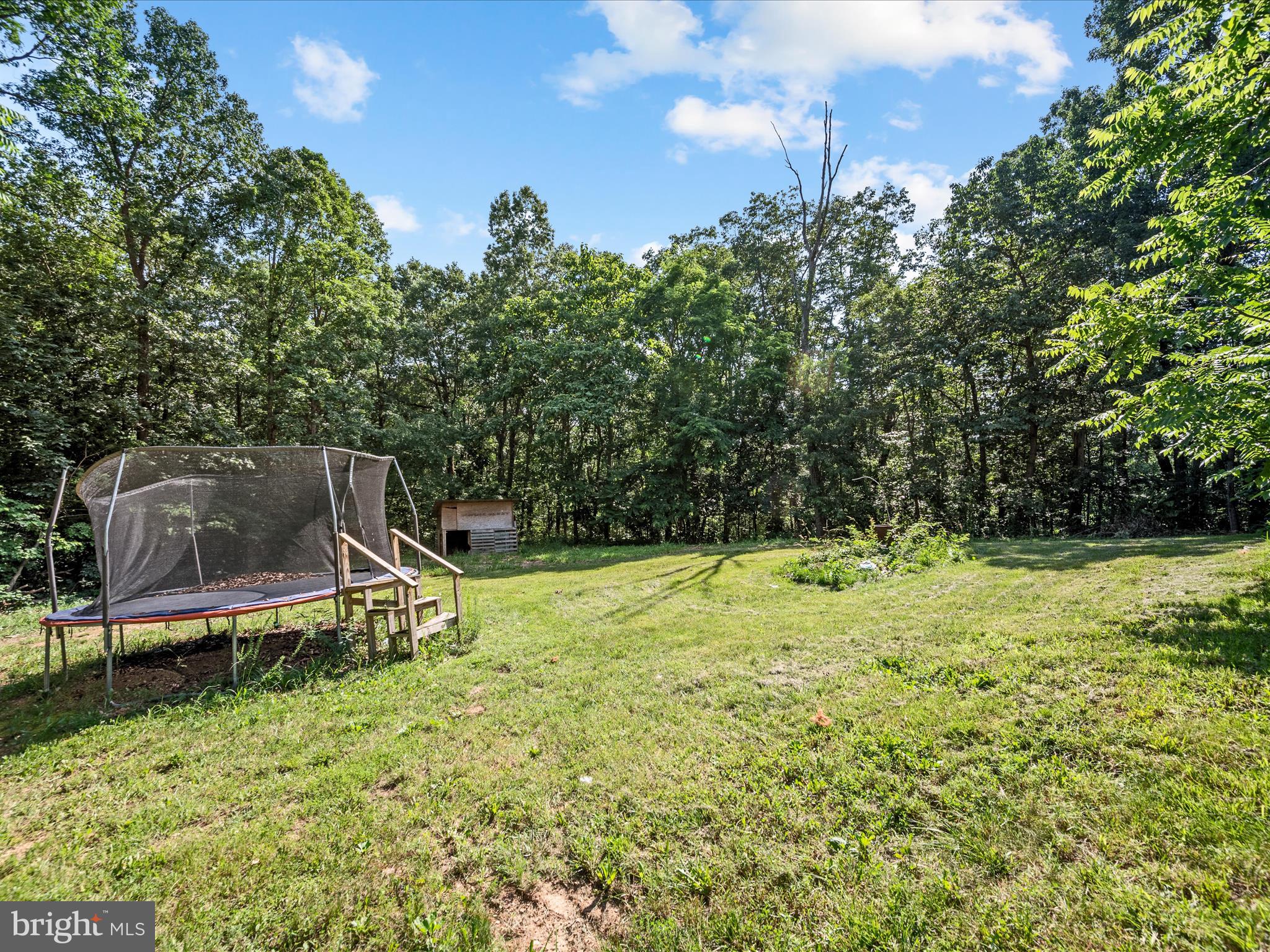 2358 Cave Ridge Road Mount Jackson, VA 22842 - Photo 42 of 59 Sideyard