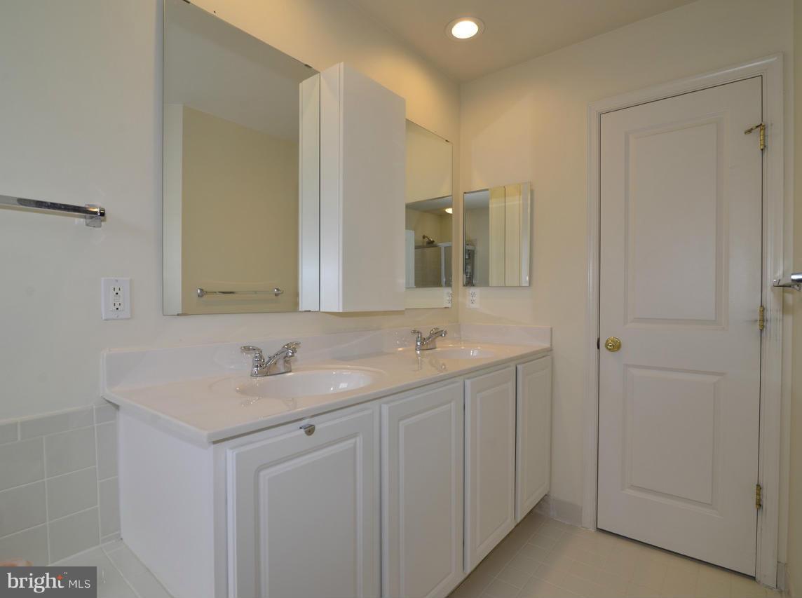 9051 Ribbon Falls Loop Bristow, VA 20136 - Photo 15 of 30 Bath (Master)