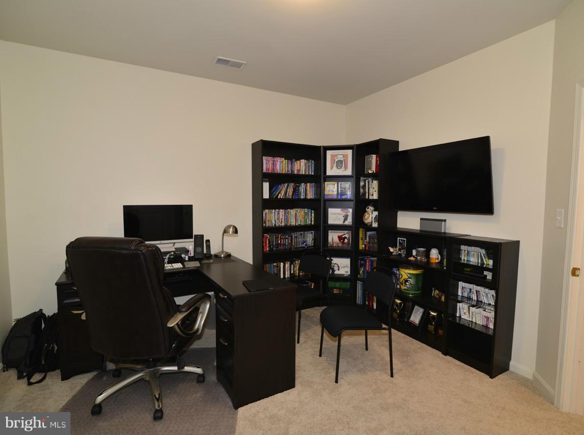 9051 Ribbon Falls Loop Bristow, VA 20136 - Photo 27 of 30 Interior (General)