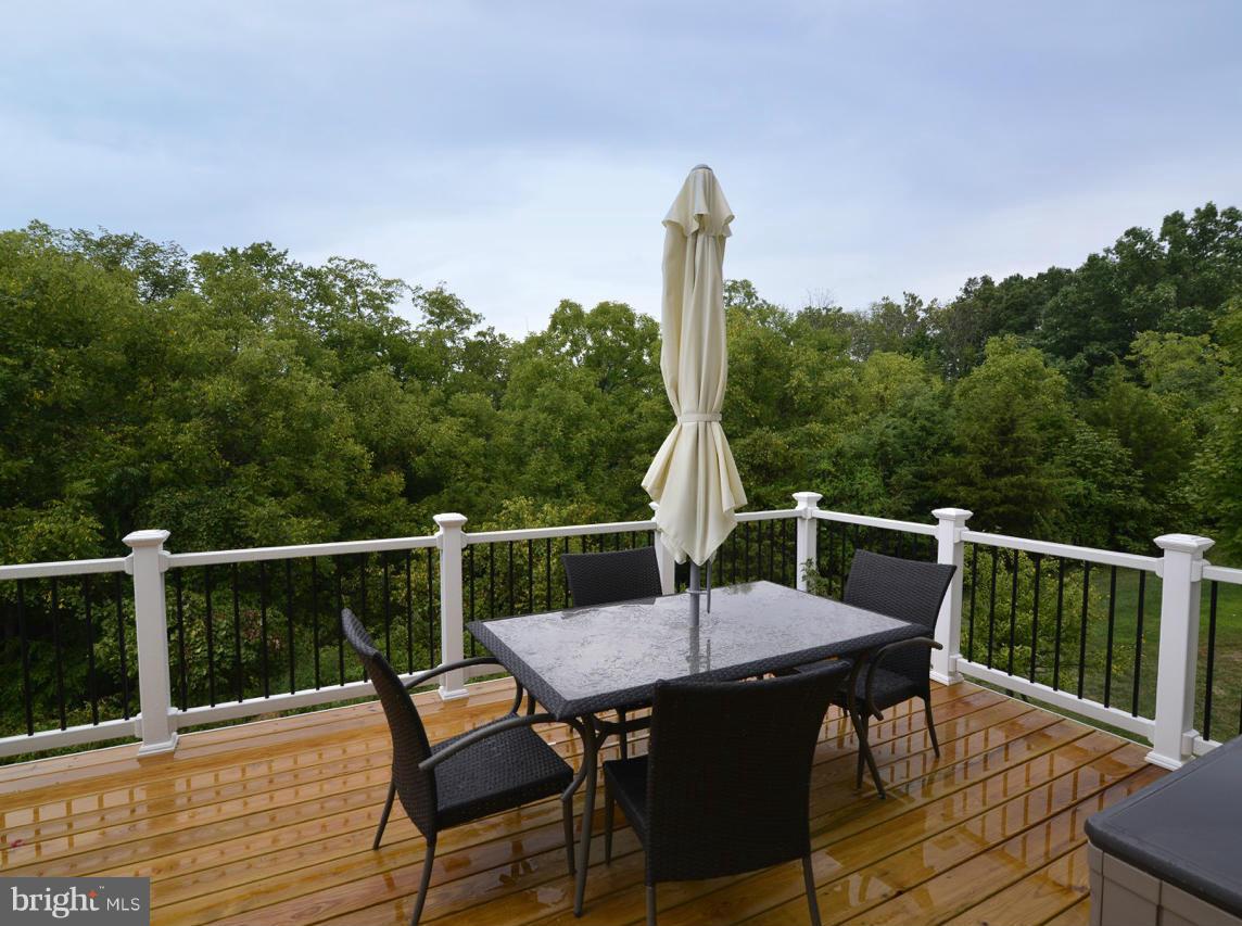 9051 Ribbon Falls Loop Bristow, VA 20136 - Photo 10 of 30 Exterior (Rear)