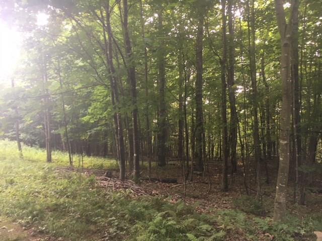 0 Oak Hill Road Kents Hill, ME 04349 - Photo 10 of 10 Photo