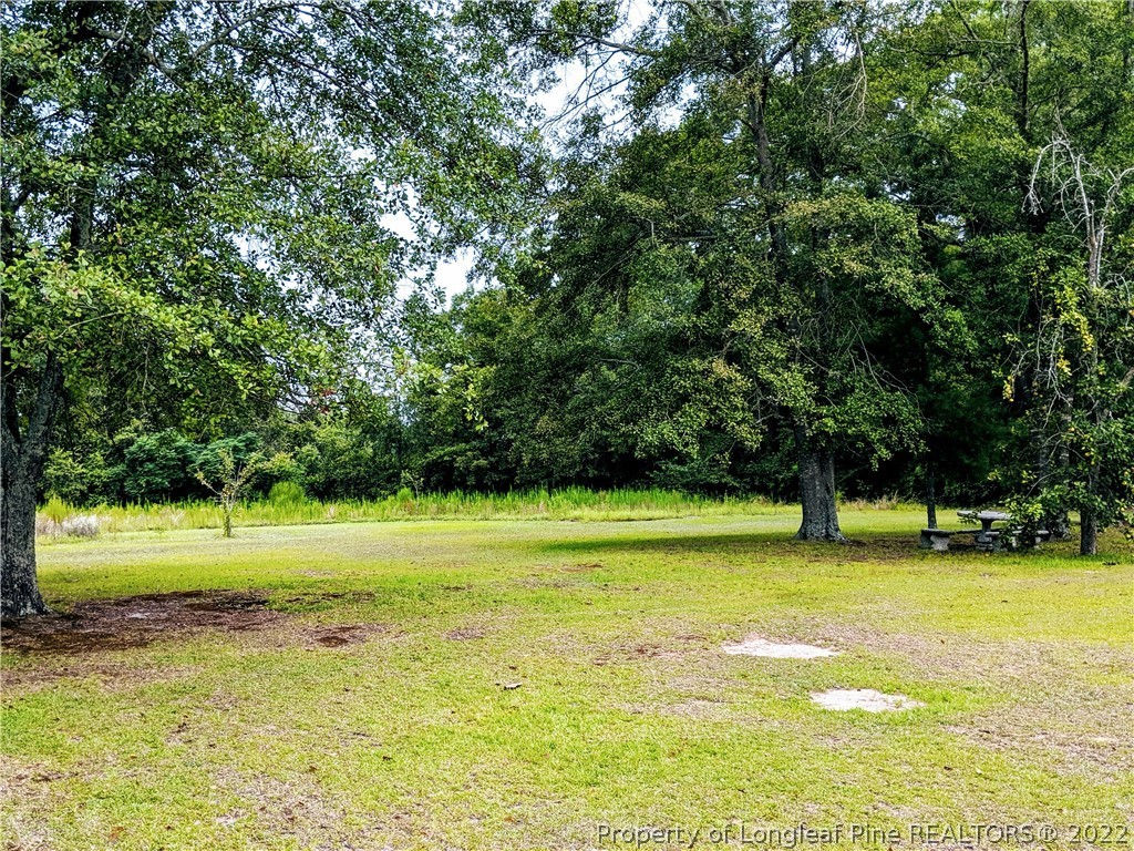 4200 Red Springs Road Red Springs, NC 28377 - Photo 12 of 40 Gallery Image 12