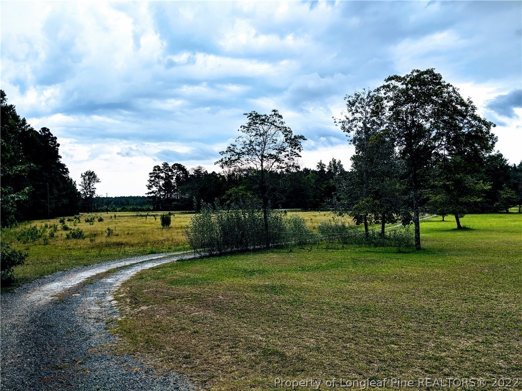 4200 Red Springs Road Red Springs, NC 28377 - Photo 4 of 40 Gallery Image 4