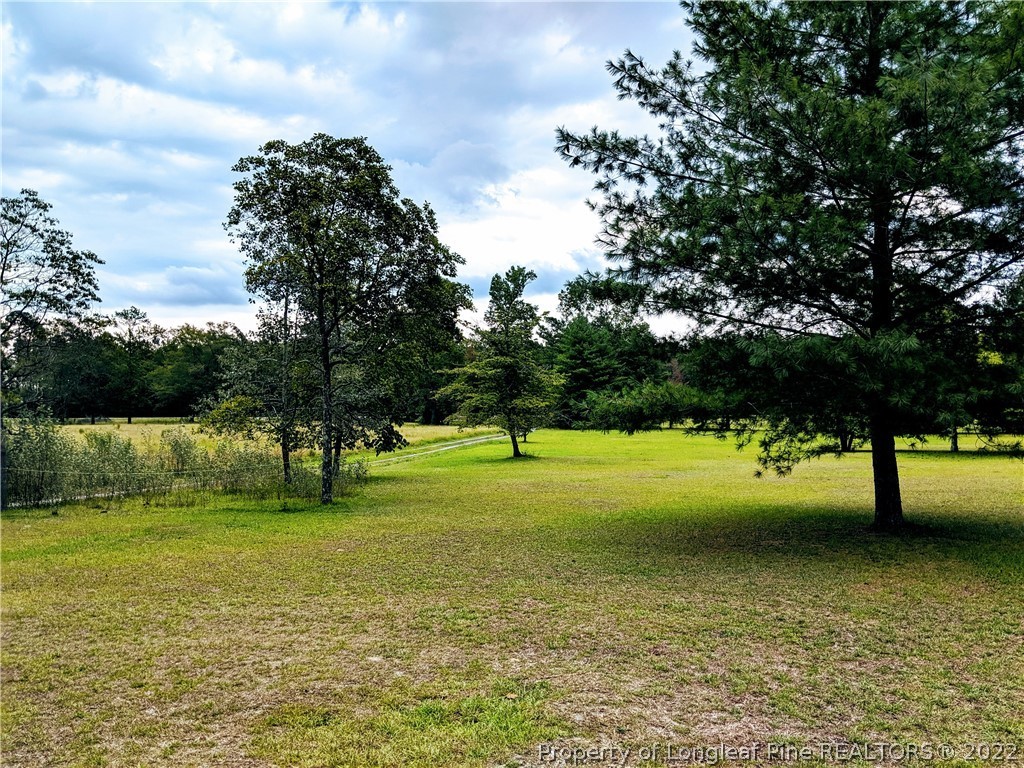 4200 Red Springs Road Red Springs, NC 28377 - Photo 6 of 40 Gallery Image 6