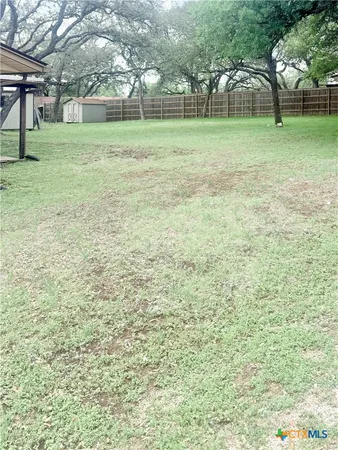 a view of a tree in a yard