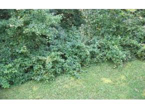 4402 East Trailridge Road Bloomington, IN 47408 - Photo 11 of 14 Gallery Image 11